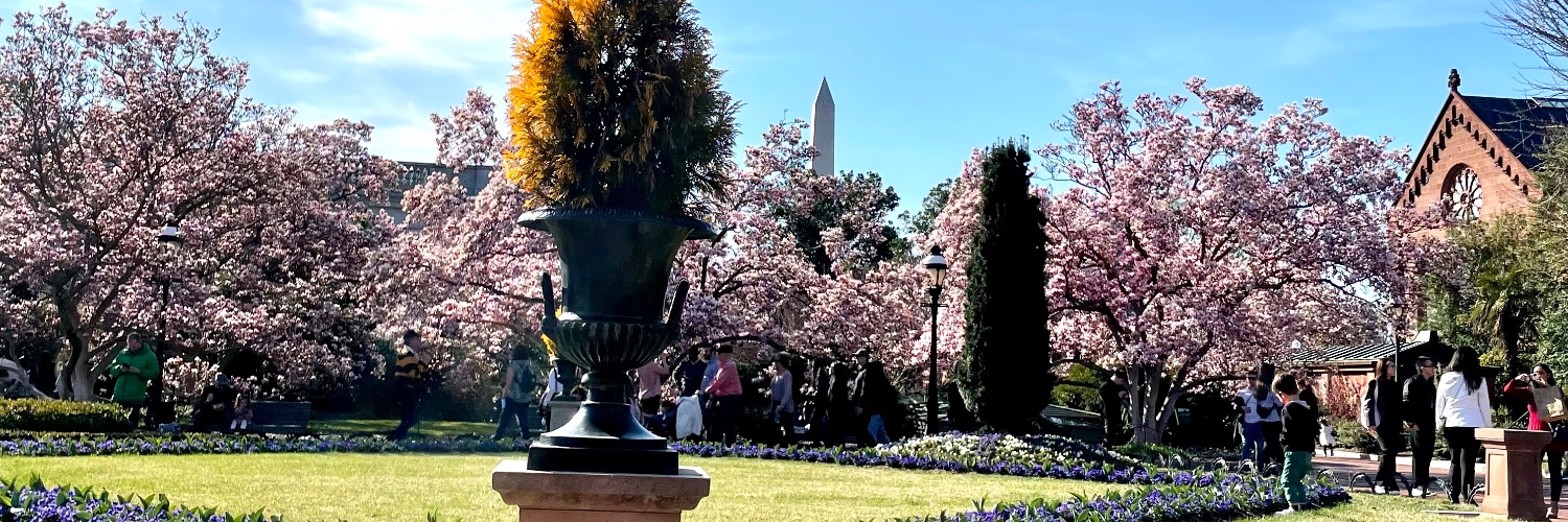 Liam deClive-Lowe banner