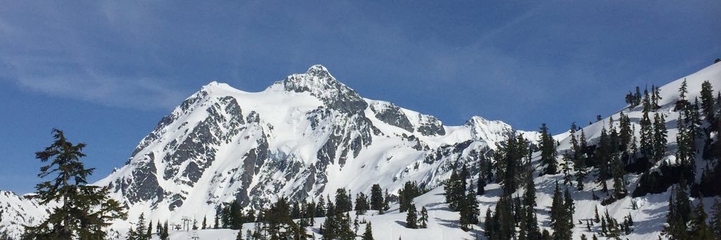 javlaviking's profile banner image