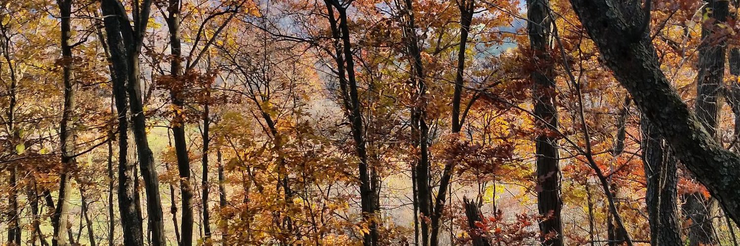 CalSteffes's profile banner image