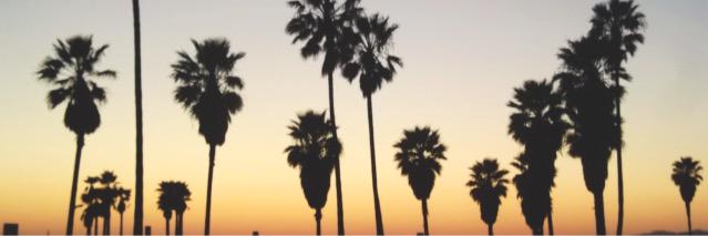 Kayla Hadlock banner