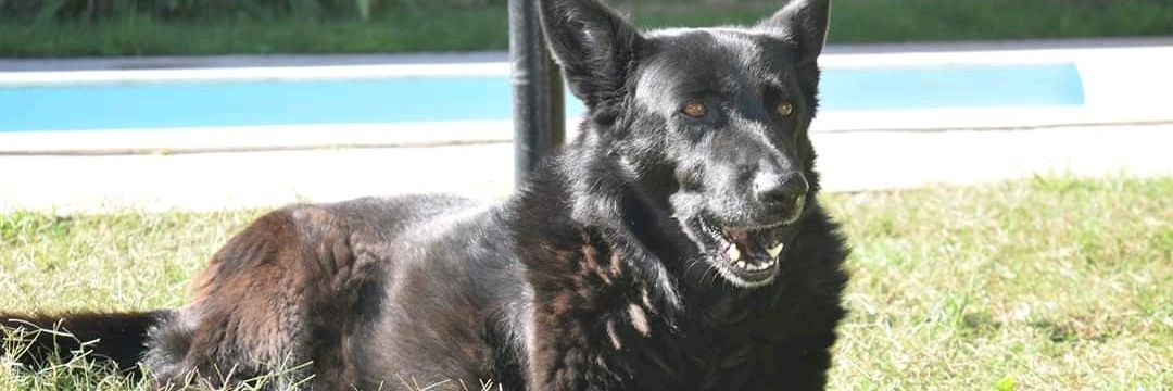 SoleMichel💫 banner