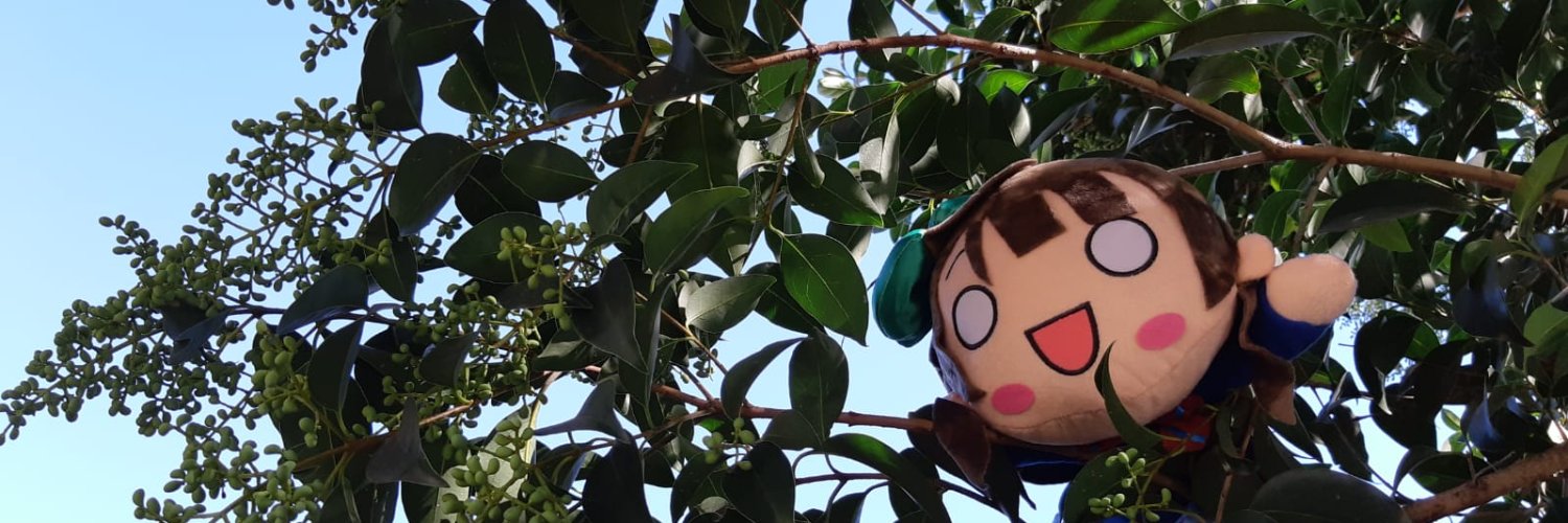 Glasercio's profile banner image
