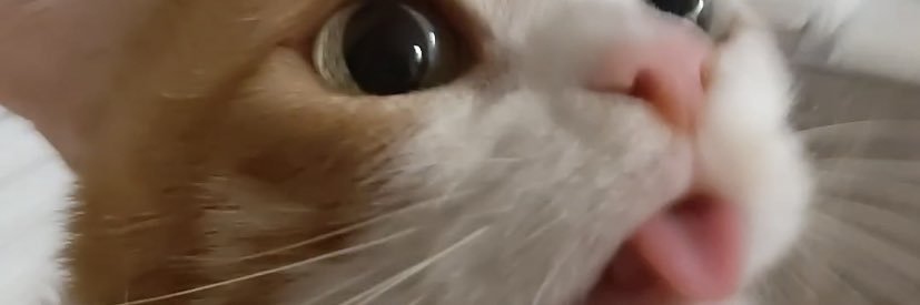 sweetsoursZ's profile banner image