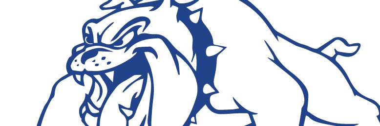 Sean Stevenson banner