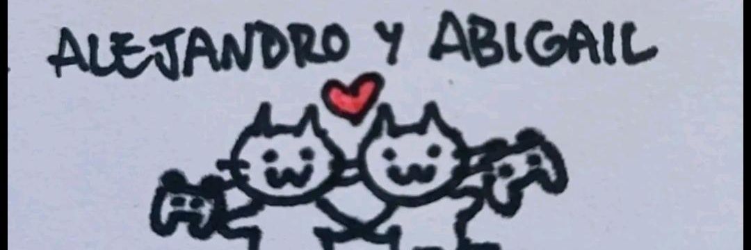 pollitop98's profile banner image