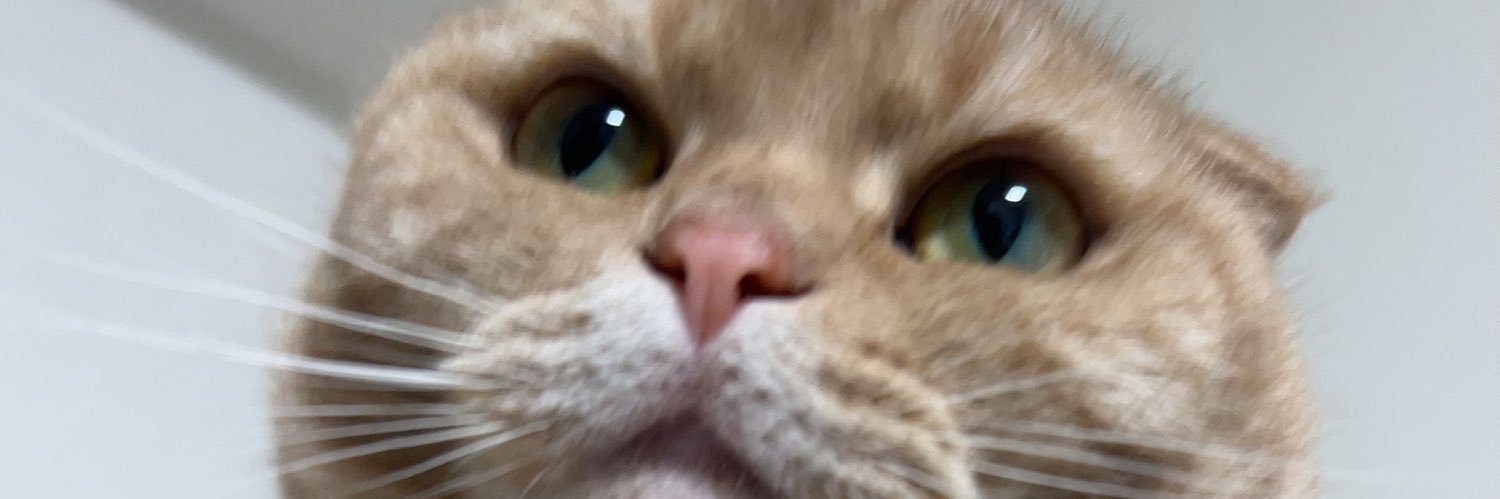ai8taka's profile banner image
