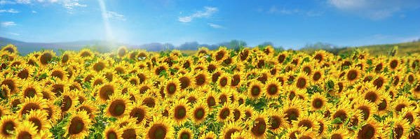 lvwilson63's profile banner image