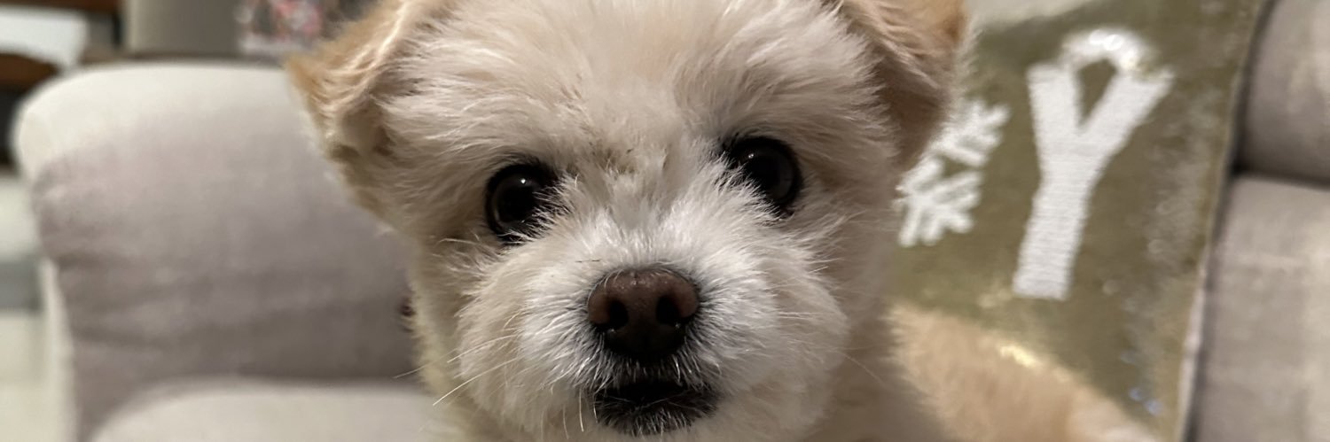 ManolooSJ's profile banner image
