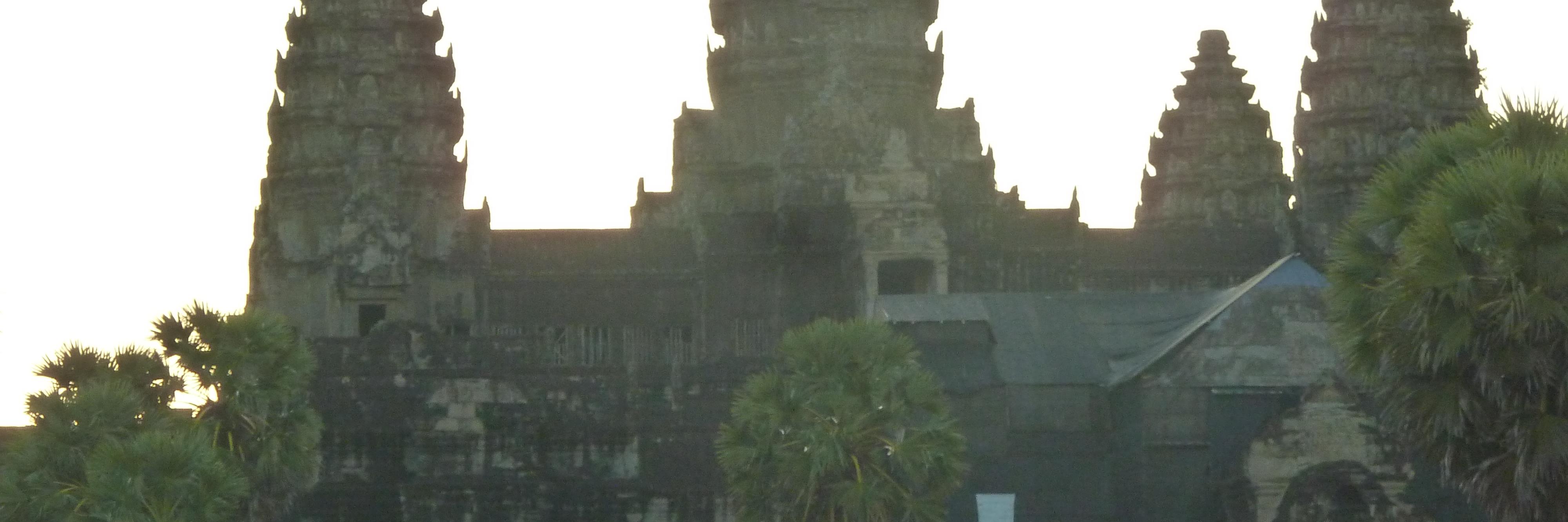 Linfield Simon Maye banner
