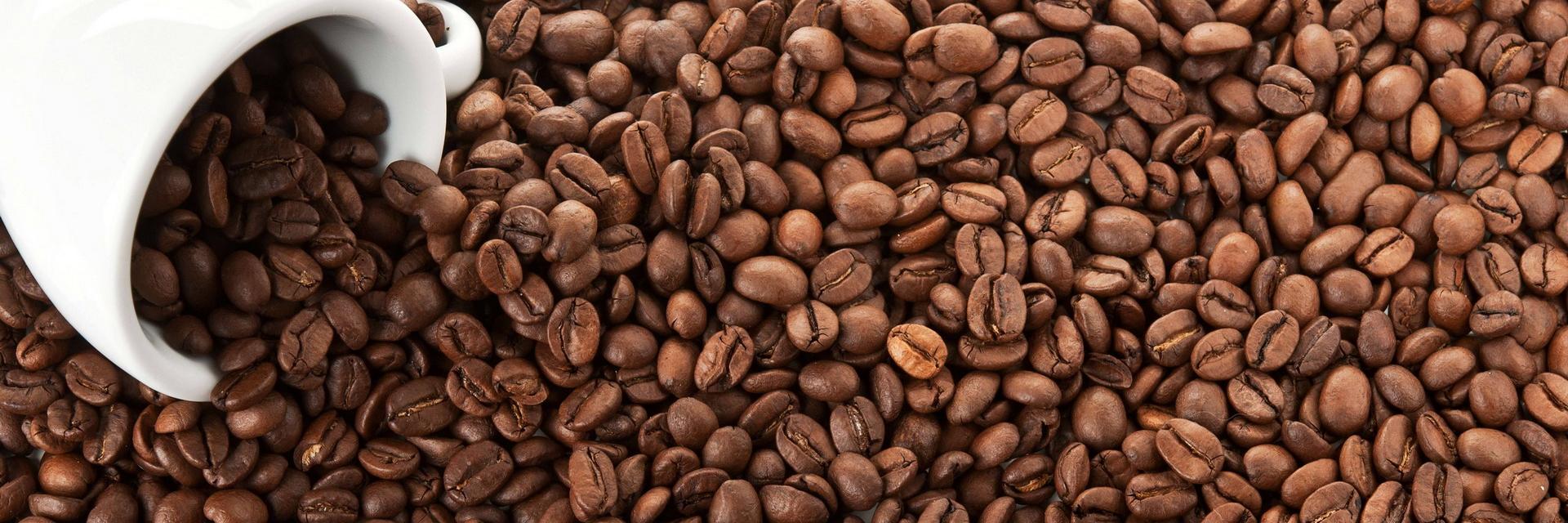CoffeeDadJackk's profile banner image