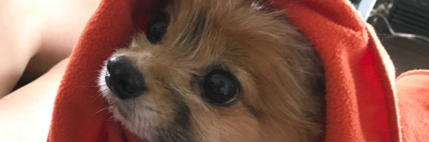 jennybeansxo's profile banner image