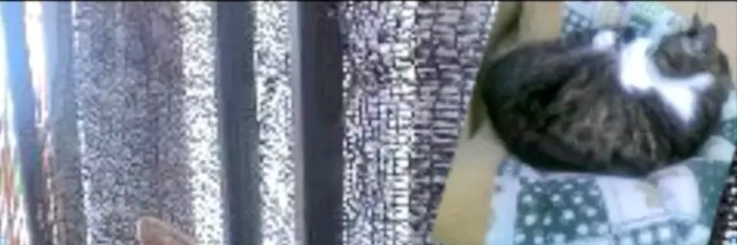 真(ま)@もち月 banner