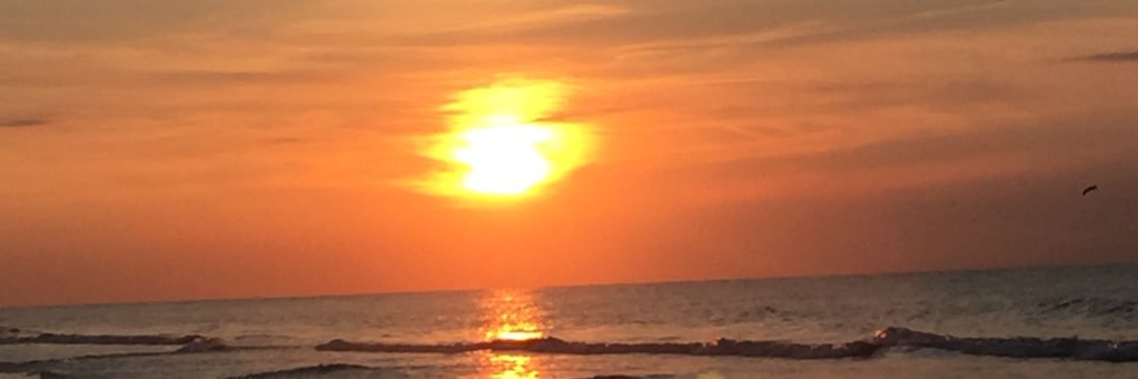 suec1026's profile banner image