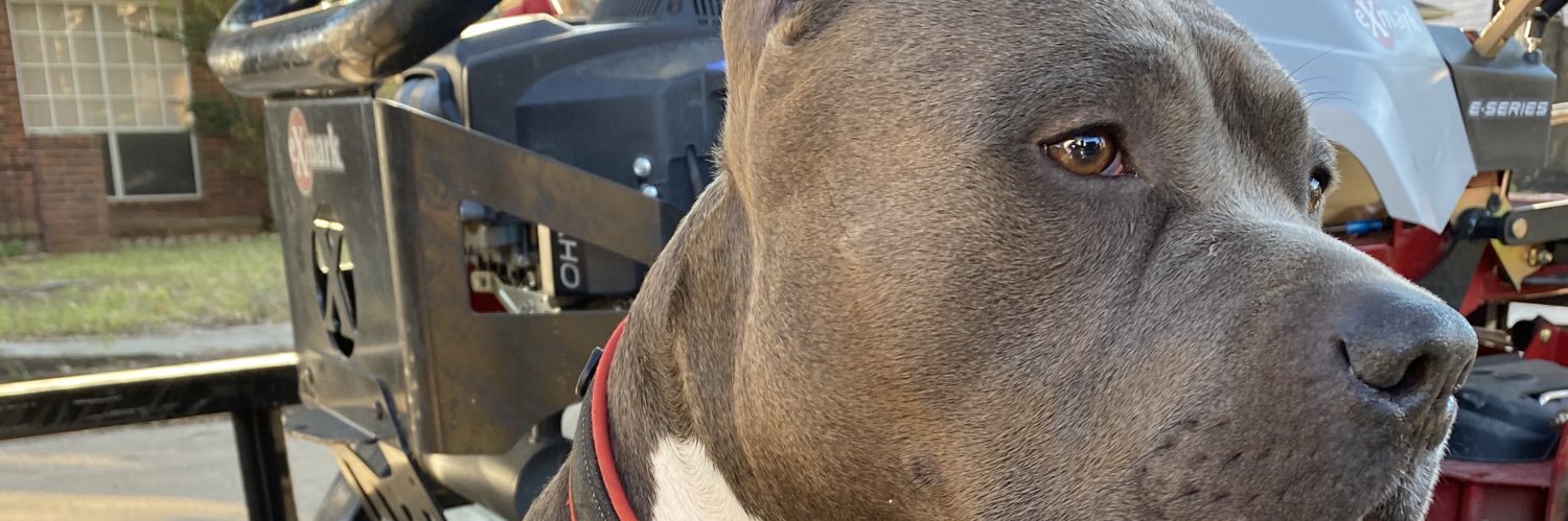 Ja_scrog's profile banner image