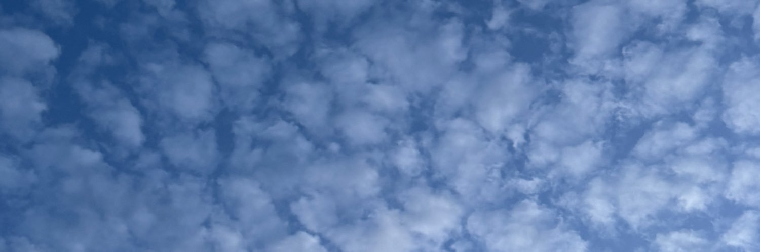 thiagoibrahim's profile banner image