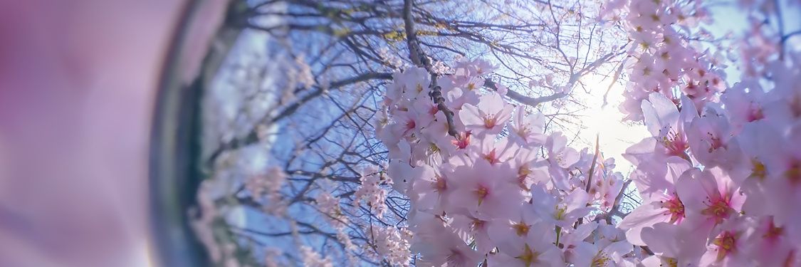 kisanta329's profile banner image