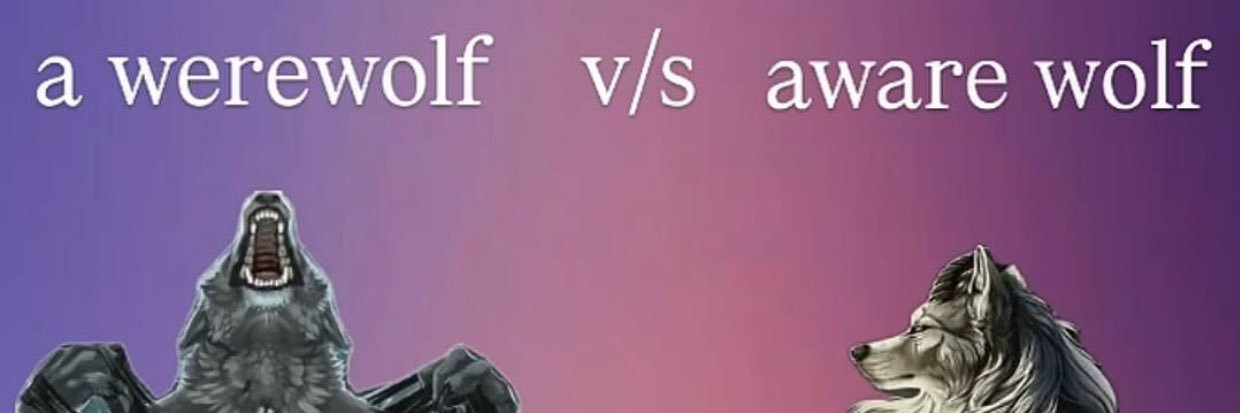 yuri 林 banner