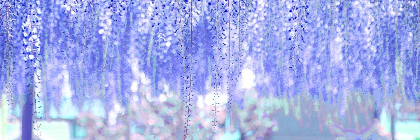 Meilly0114's profile banner image