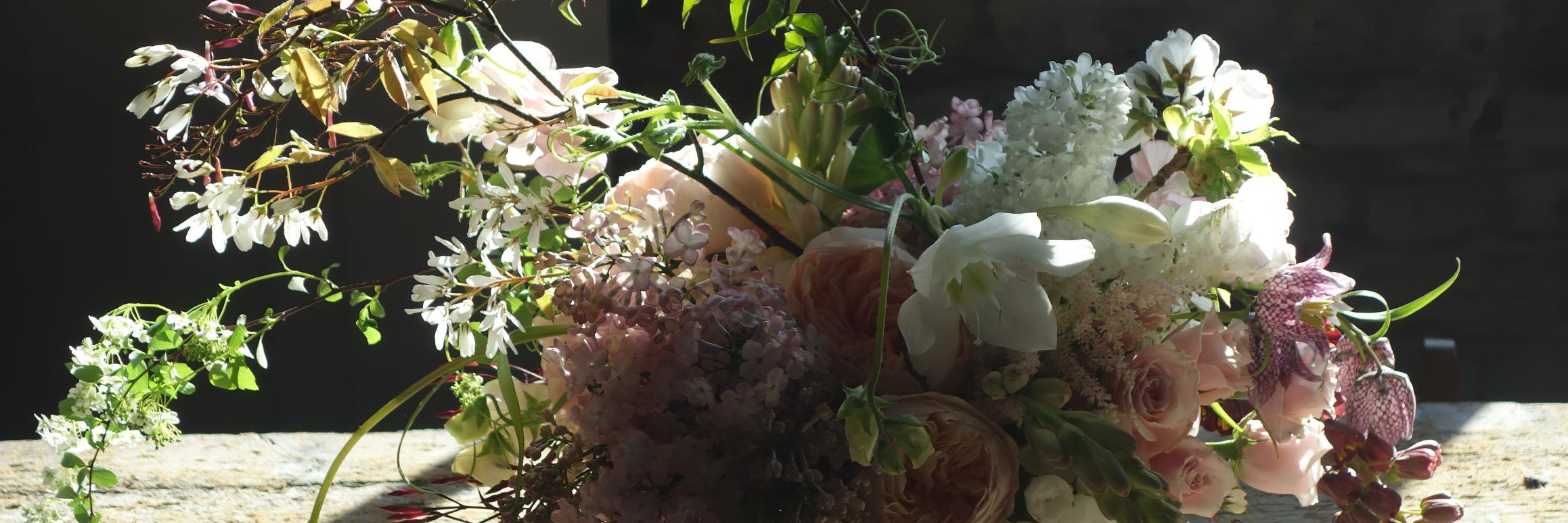 bellabotanicaf's profile banner image