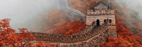 mandarin_UNJ's profile banner image