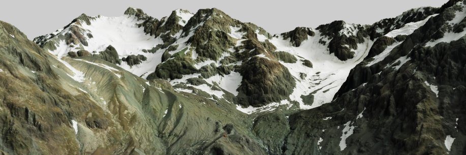 LINZ Data Service banner