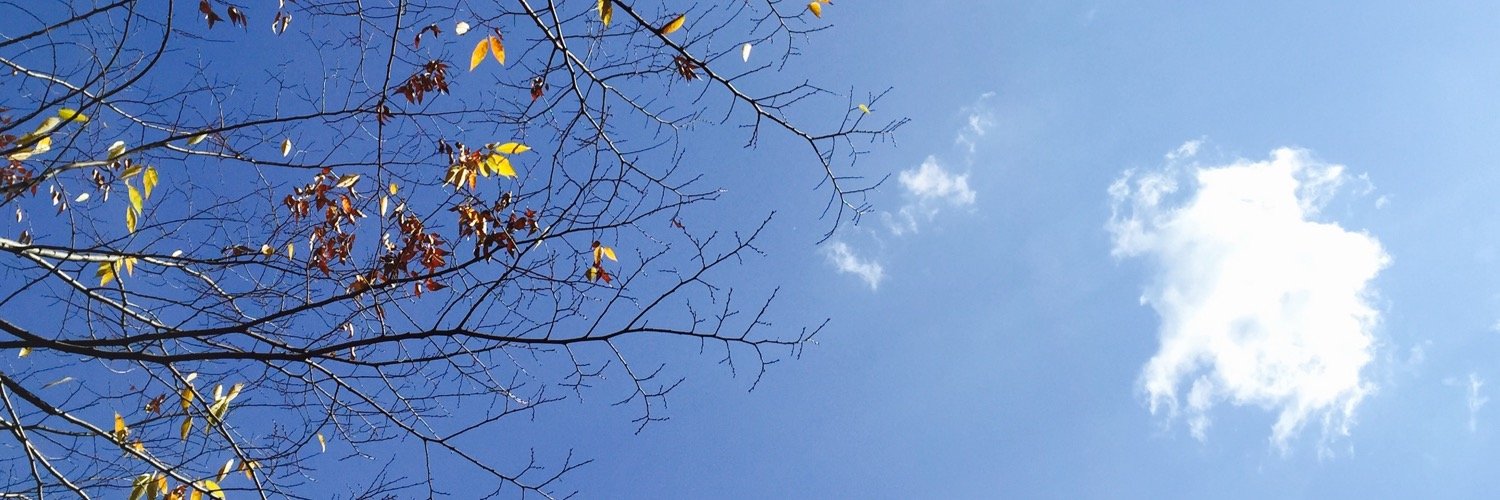 kisa_privacy's profile banner image