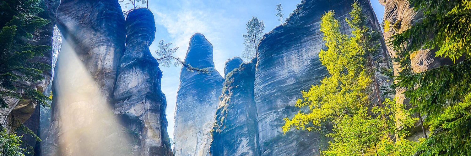 shellysheiva's profile banner image