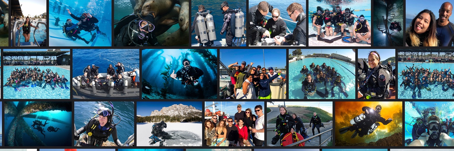 EcoDiveCenter's profile banner image