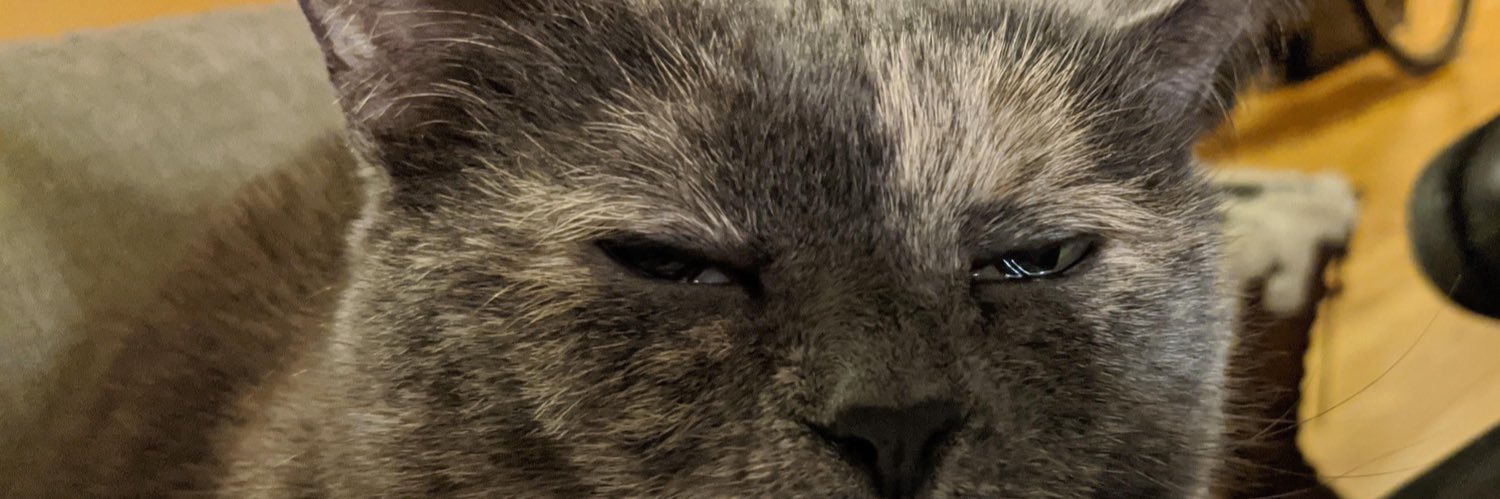 The_Danimal94's profile banner image