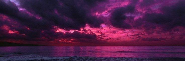 whoquestionary's profile banner image