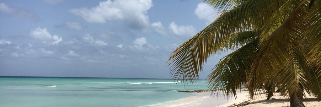 ay_bello's profile banner image