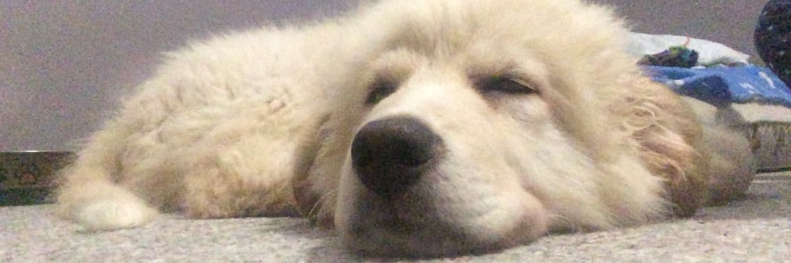 Haleytm1's profile banner image