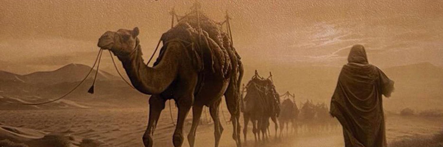 أإلغـادي banner