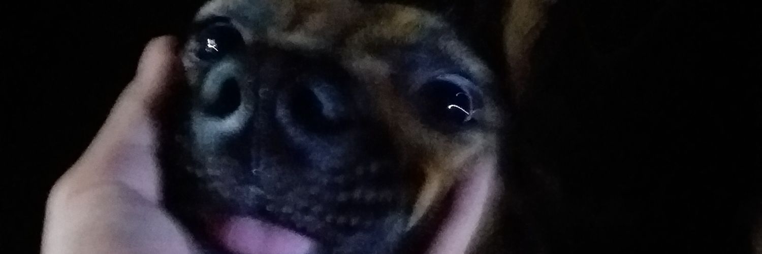 kitkeytt's profile banner image
