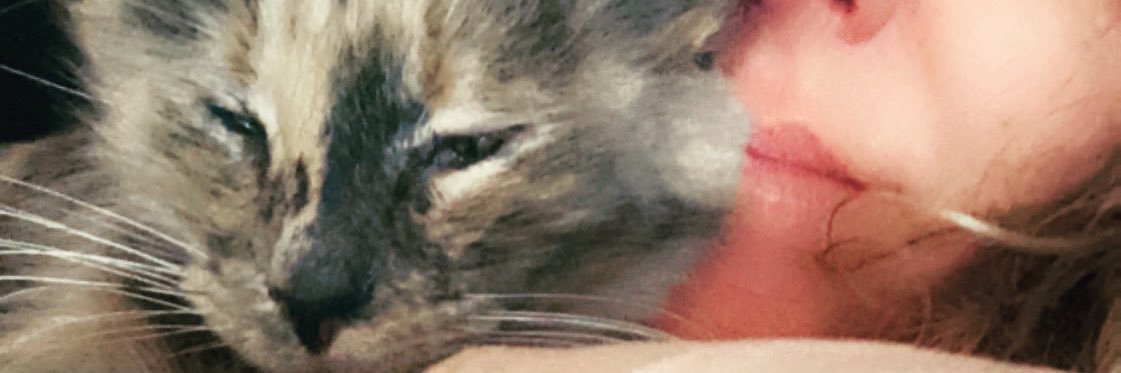 Sarahmom2's profile banner image