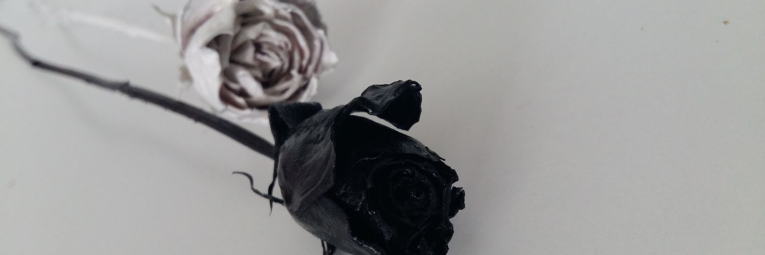 Asal_Shayan's profile banner image