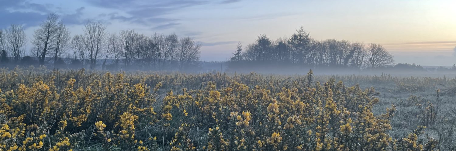 Nolwennclrc's profile banner image