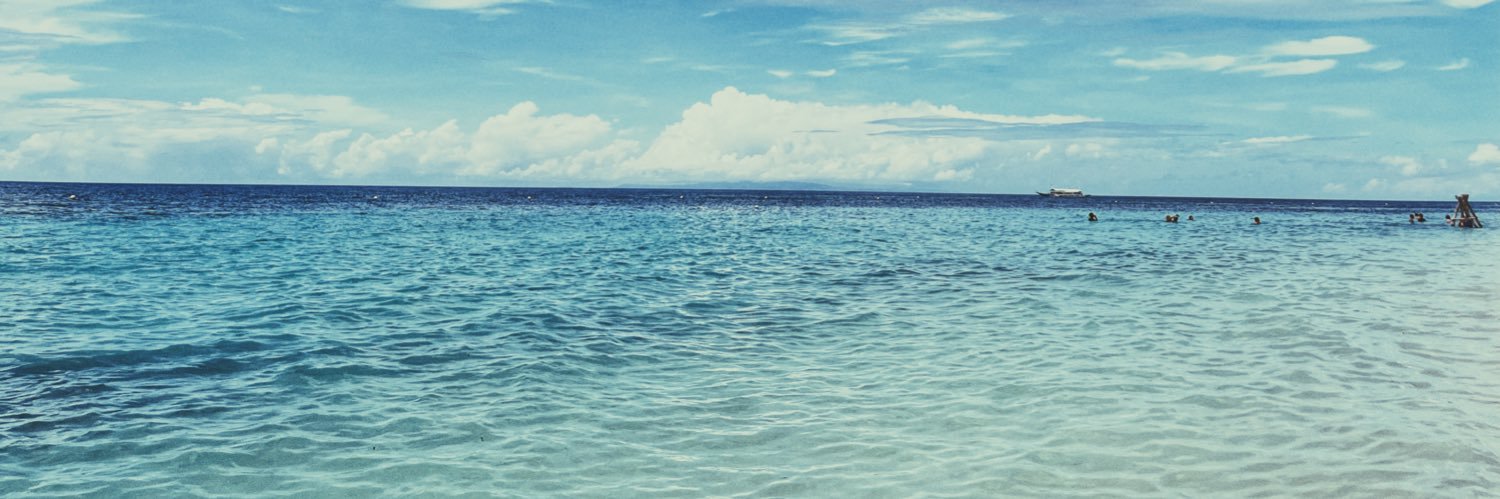 riedenisee's profile banner image