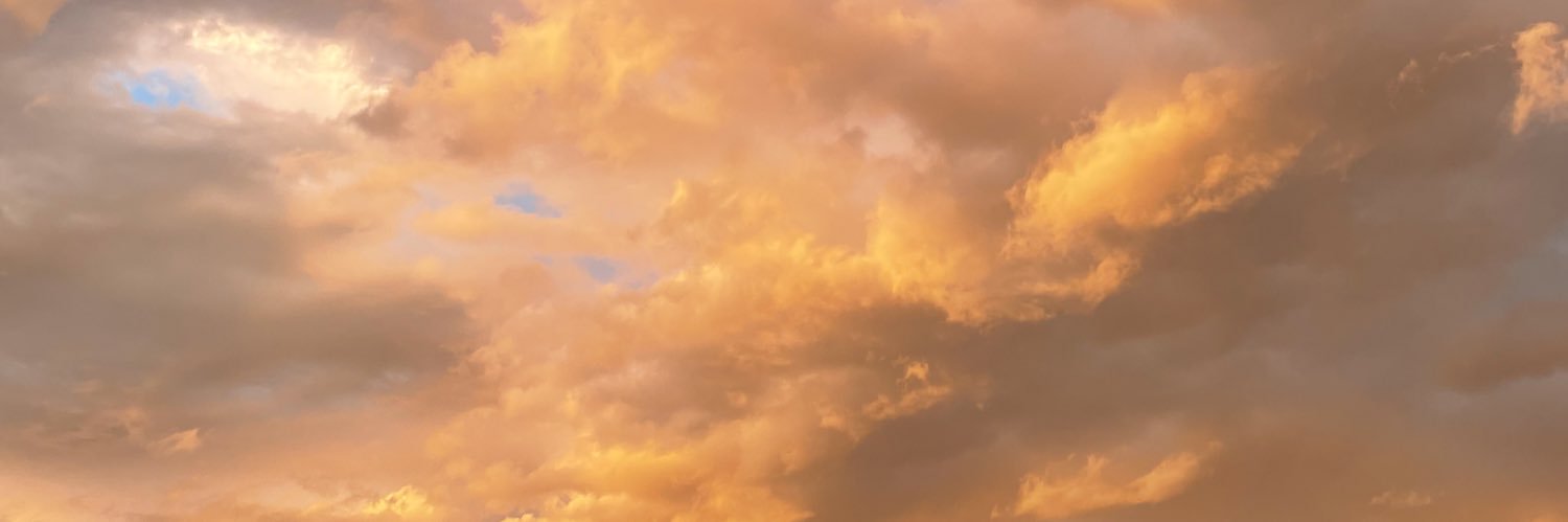 AllisonMedford's profile banner image