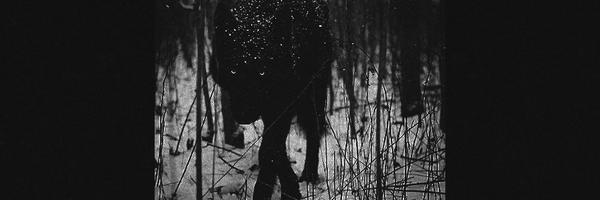 WolvesPromotion Profile Banner