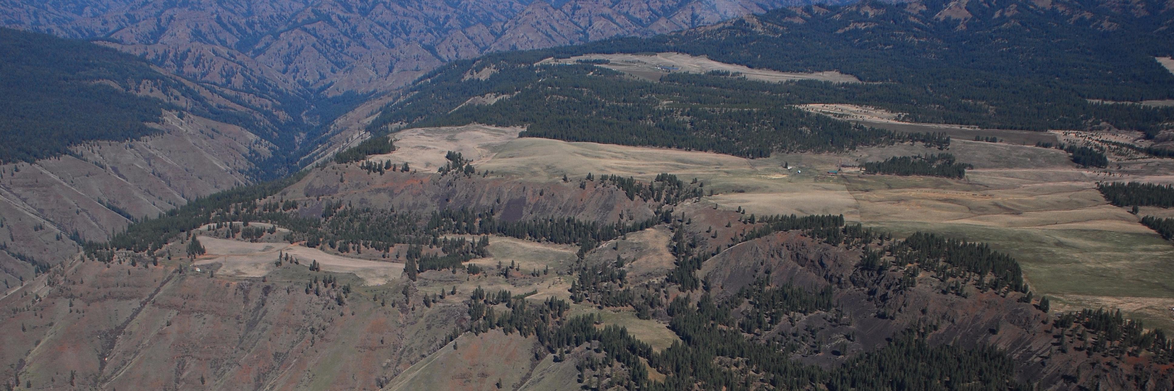 Mainstem Malt banner