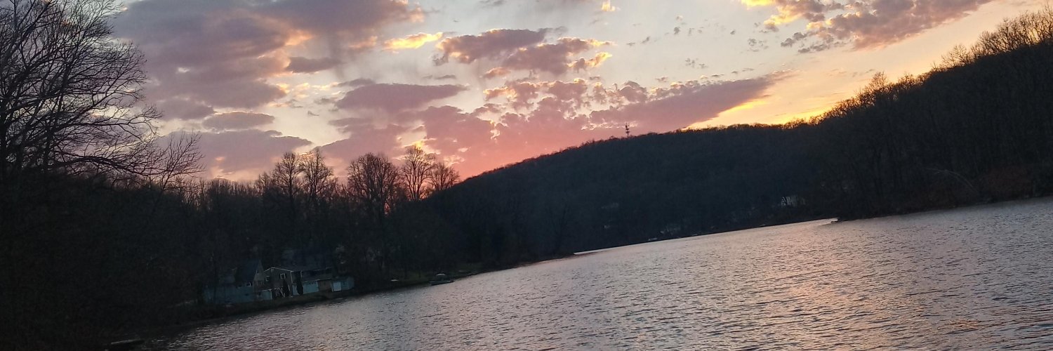 Pup Link 🔜Post event depression banner