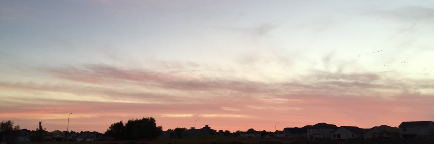 AnnaaLNguyen's profile banner image