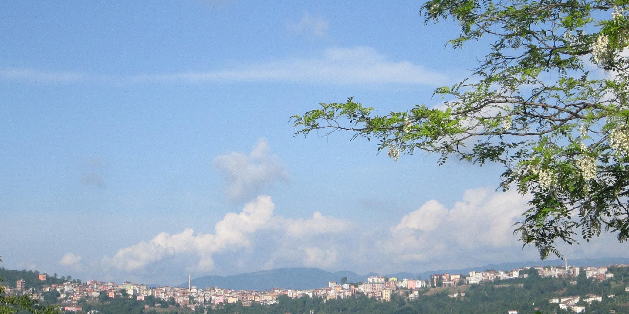 AbHatipoglu's profile banner image