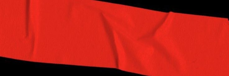 lynnie⁷ banner