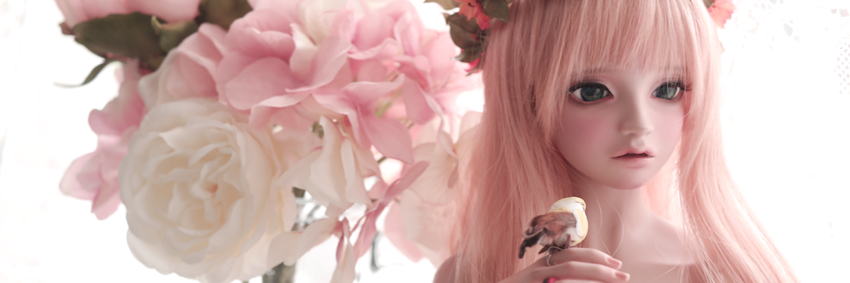 Lemona_BJD's profile banner image
