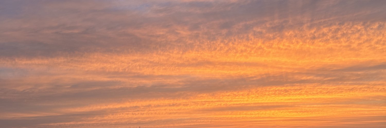 zsolshania's profile banner image