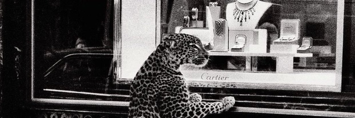 vux_10's profile banner image