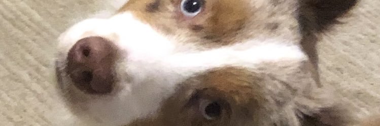 dimundking's profile banner image