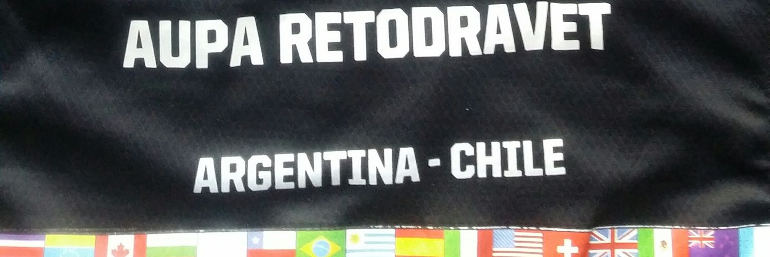 PatagonicoRunner banner